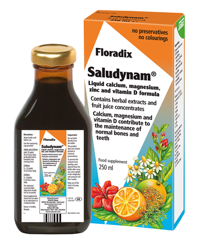 Floradix Saludynam 250ml