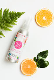 Ella & Jo Squeaky Clean Brush Cleanser